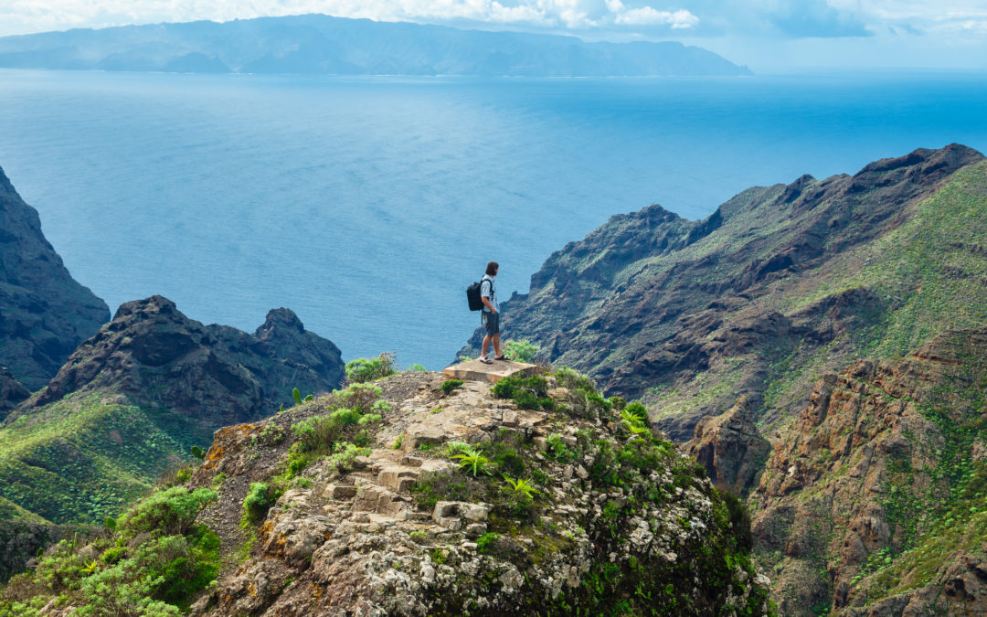 Préparer le DSCG à la Réunion : quelles options quand on travaille déjà ?
