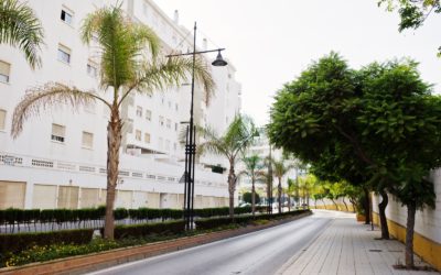 Devenir comptable aux Antilles : formations, emploi et perspectives en Martinique et Guadeloupe